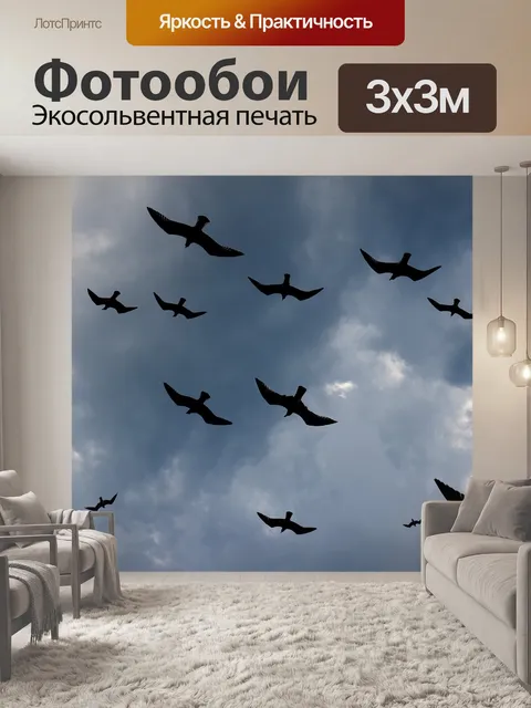 Фотообои Чайки