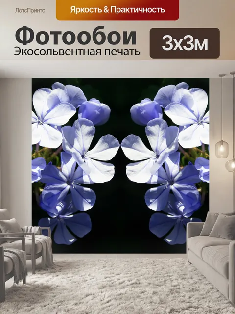 Фотообои графит цветок повторите