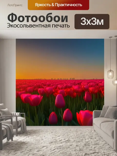Фотообои тюльпаны перед солнечным закатом