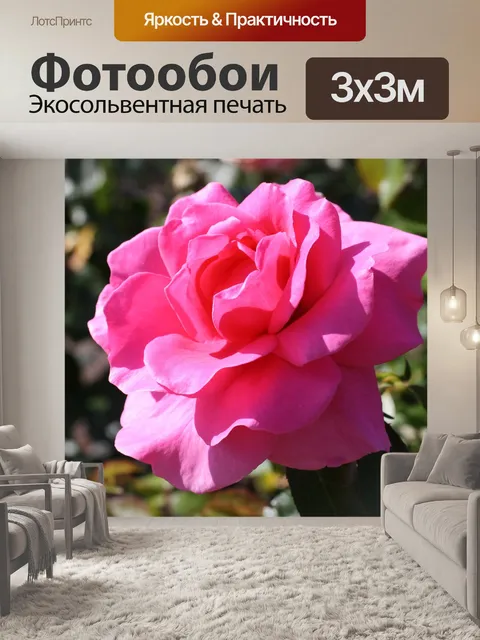 Фотообои Алый