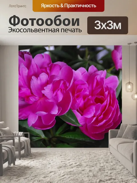 Фотообои Пионы