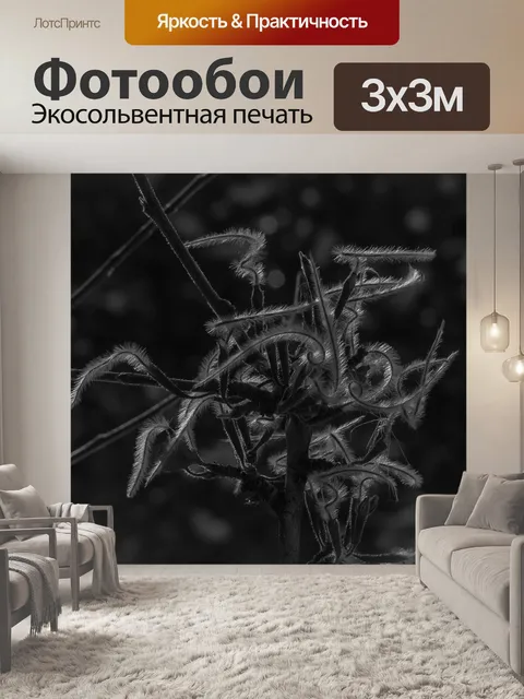 Фотообои Горы махагон