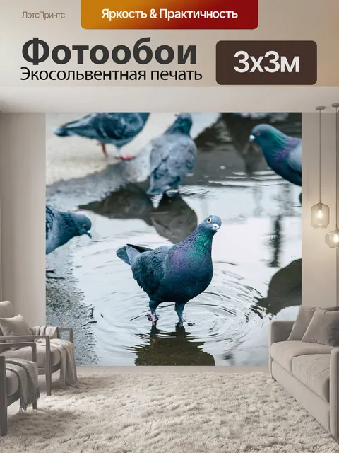 Фотообои Голуби