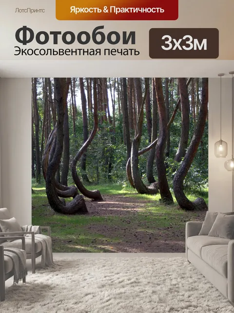 Фотообои Кривый лес
