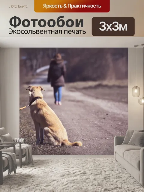 Фотообои Собака