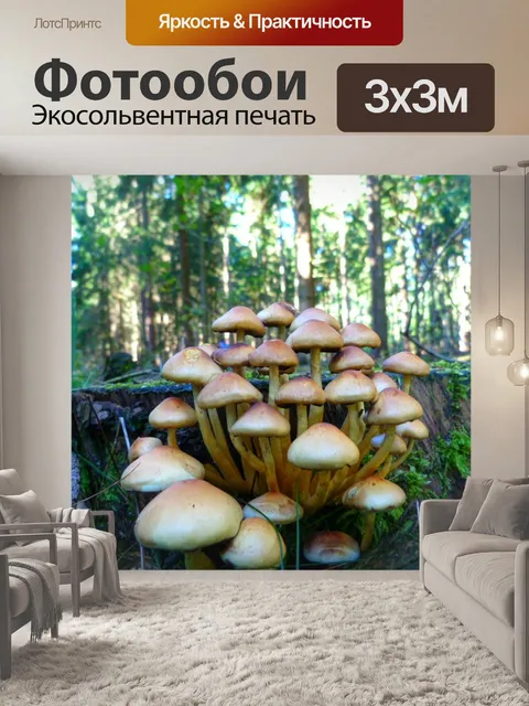 Фотообои Лес
