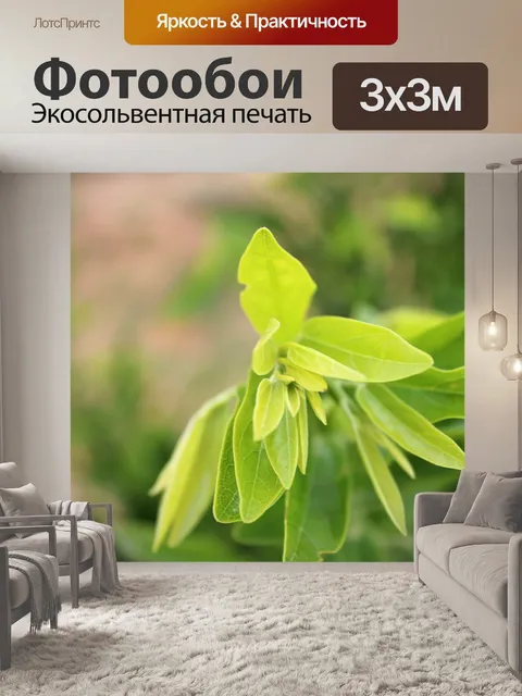 Фотообои Дикая лоза листья