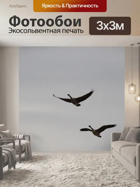 Фотообои Два канадских гуся