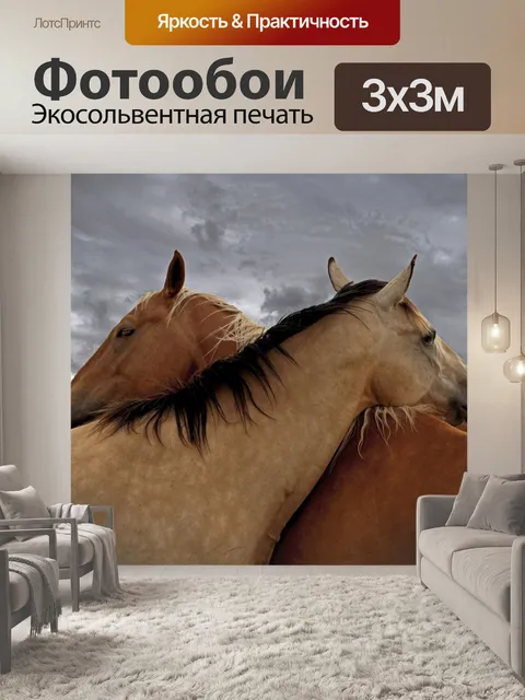Фотообои Лошадь