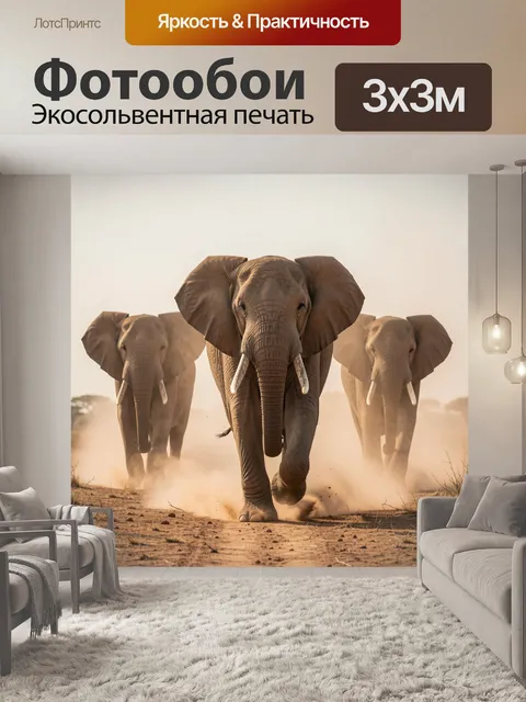 300 × 300 см · Экосольвентная печать