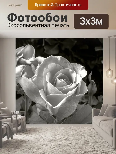 Фотообои Розы