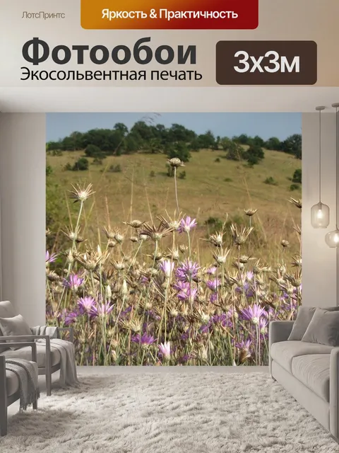 Фотообои Природа