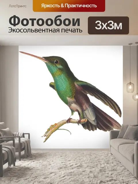 Фотообои Птица
