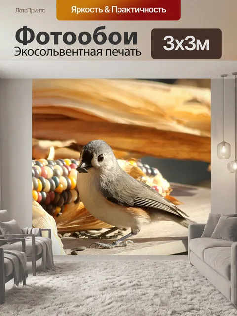 Фотообои Туфтовая синица с семенем
