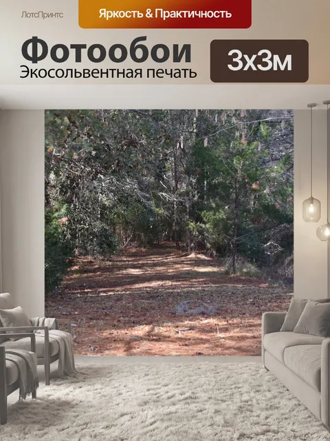 Фотообои Дорога в лес