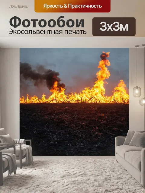 Фотообои на фоне заката, пожары разрушительно опустошают поле, оставляя лишь черные обгоревшие стебли