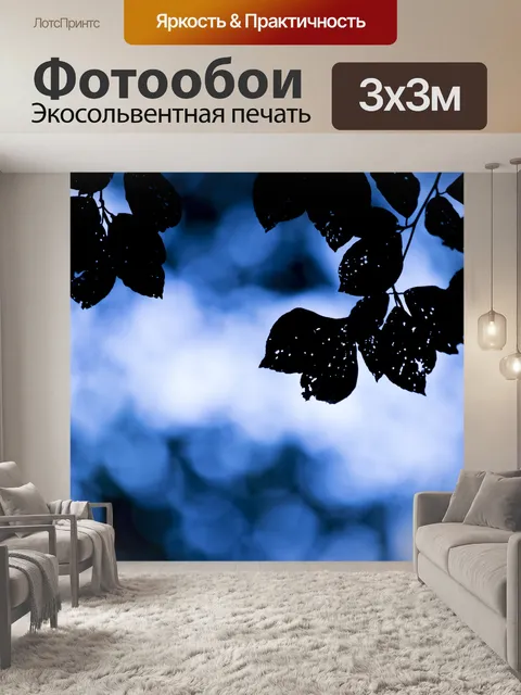 Фотообои Силуэт листьев