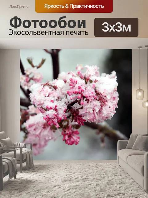 Фотообои Зима