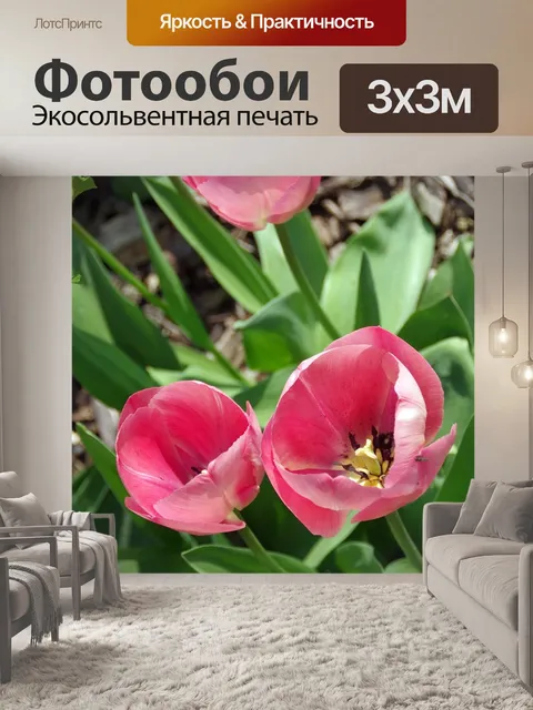 Фотообои Тюльпаны