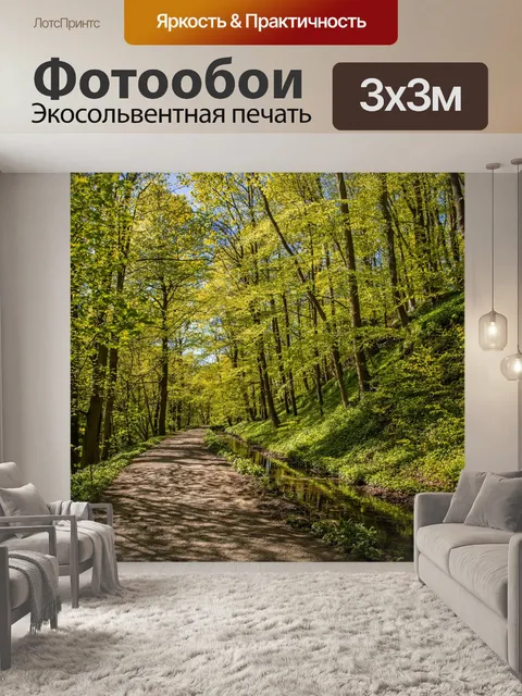Фотообои Лес в Скиптоне