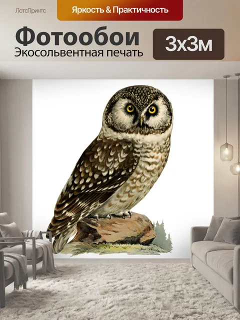 Фотообои Клипарт Owl eagle owl bird