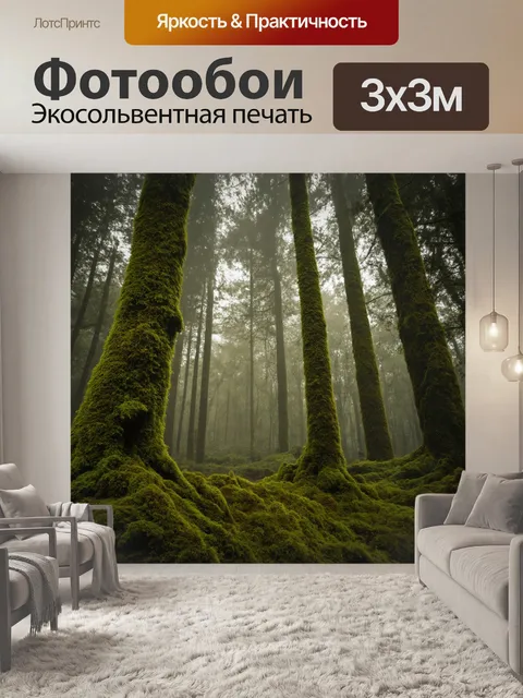 Фотообои англия: волшебный лес с высокими деревьями