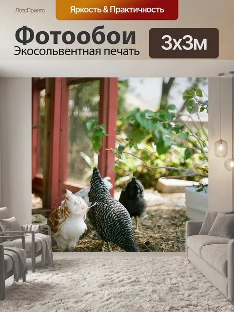 Фотообои Куры