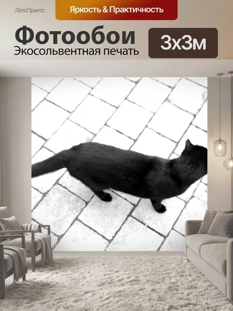 Фотообои Черная кошка на тротуаре белой плитки