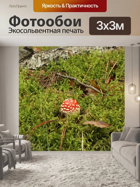 Фотообои Лес