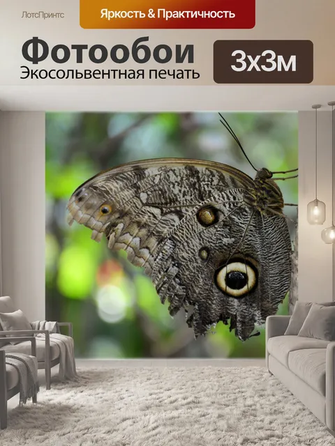 Фотообои Бабочки 05