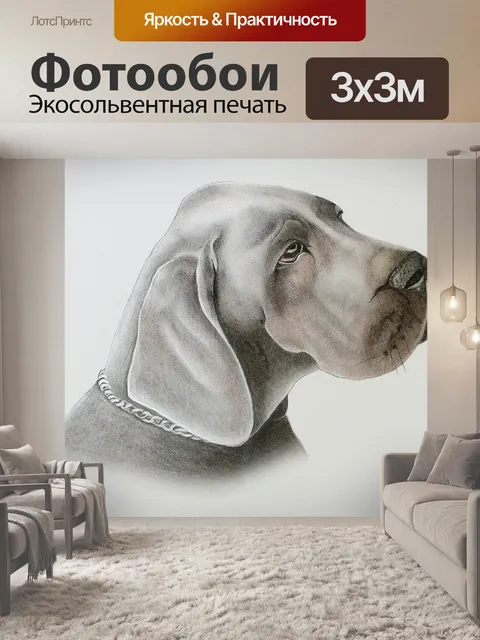 Фотообои Собака