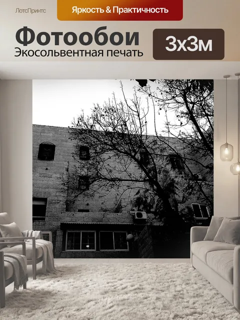 Фотообои Дом