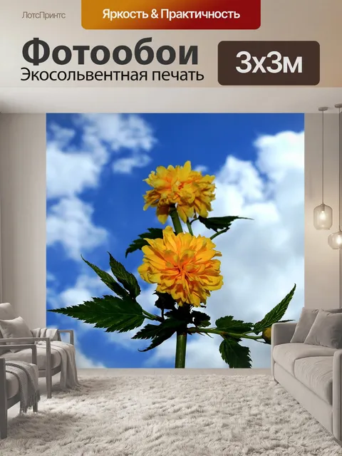 Фотообои Цветы