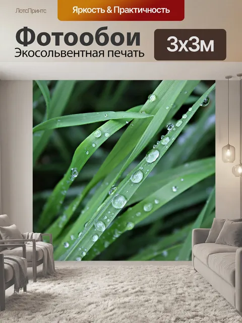 Фотообои Дождь