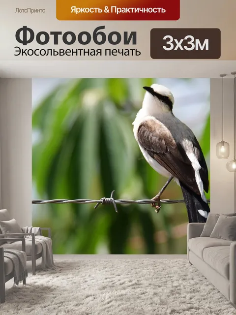 Фотообои Птица