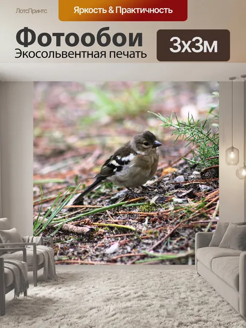 Фотообои Птицы