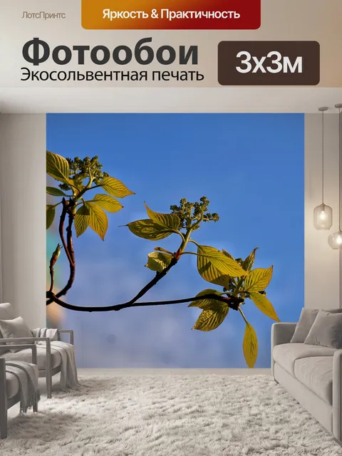 Фотообои Бутон