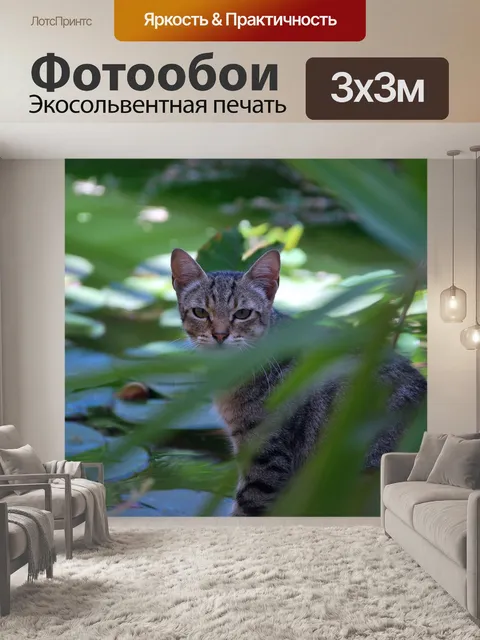 Фотообои Кошка