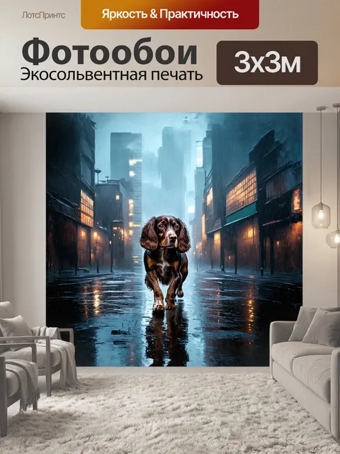 Фотообои спаниель гуляет под проливным дождем в туманном cityscape