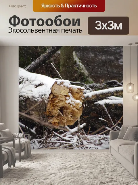 Фотообои Дерево
