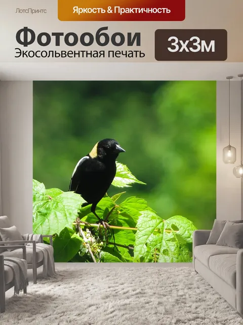 Фотообои Птицы