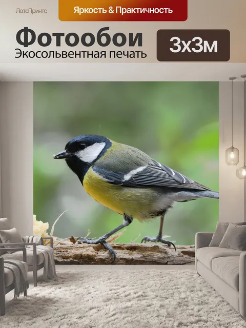 Фотообои Птица