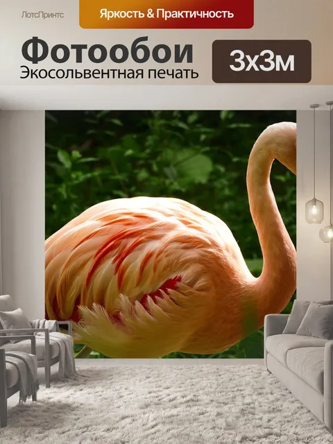 Фотообои Зоопарк