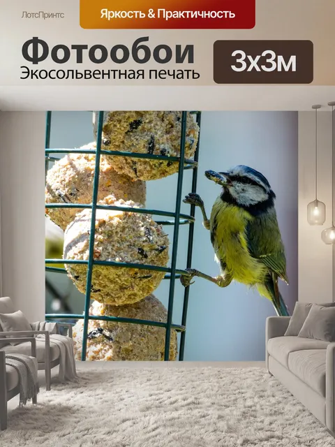 Фотообои Птица