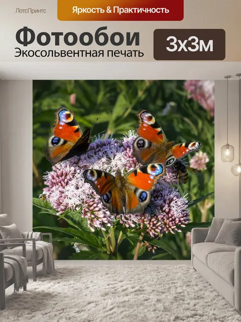 Фотообои Европейский павлин