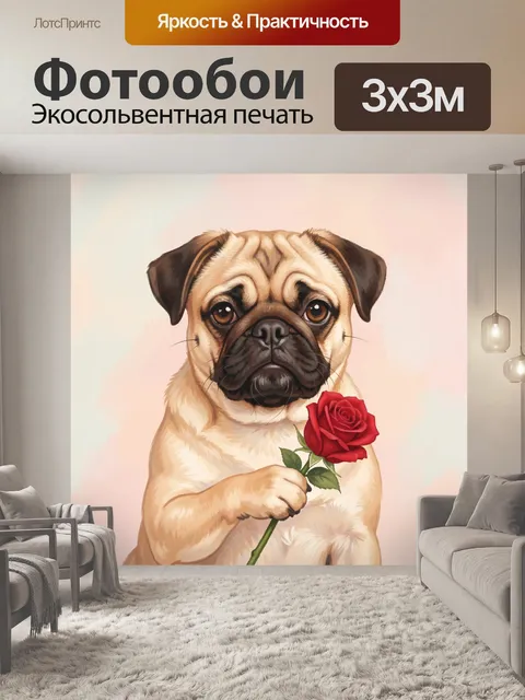 Фотообои Мопс с красной розой