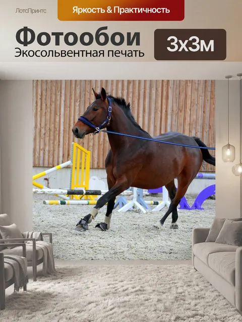 Фотообои Лошадь