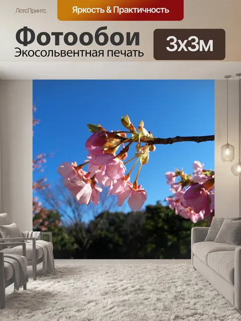 Фотообои Цветок