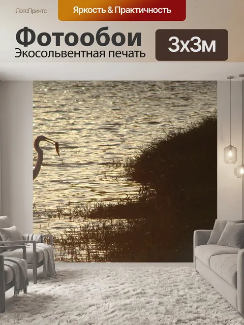 Фотообои Цапля