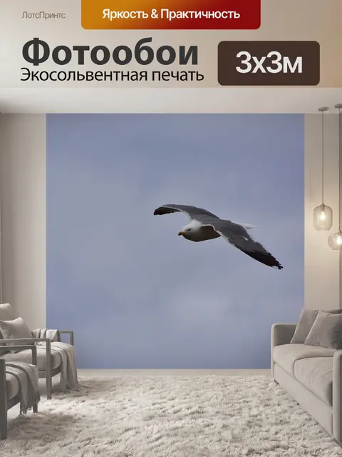 Фотообои Птицы